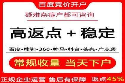 搜索引擎竞价推广实战：行业领先企业的成功秘诀